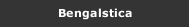 Bengalstica