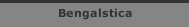 Bengalstica