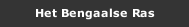 Het Bengaalse Ras