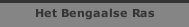Het Bengaalse Ras